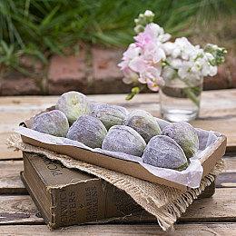 《深岩银河》限期免费游玩开启 多人合作第一人称射击